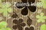 l�tka 33 - zelen�-kv�ty