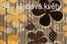 l�tka 34 - medov�-kv�ty