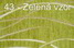 l�tka 43 - zelen�-vzor